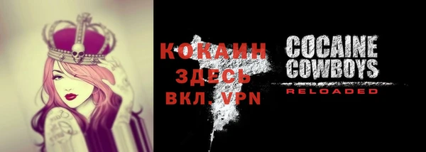 2c-b Горняк