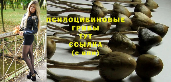 MDMA Горно-Алтайск