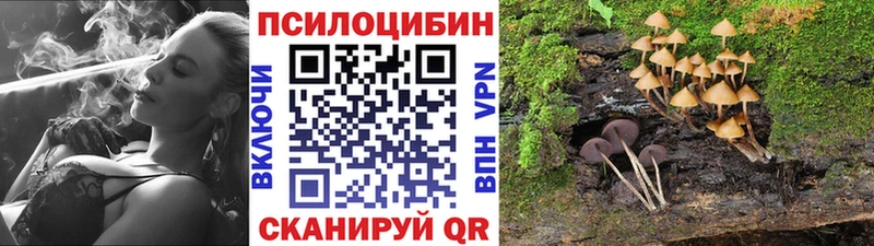 Псилоцибиновые грибы Psilocybine cubensis  Купить где  Иноземцево 